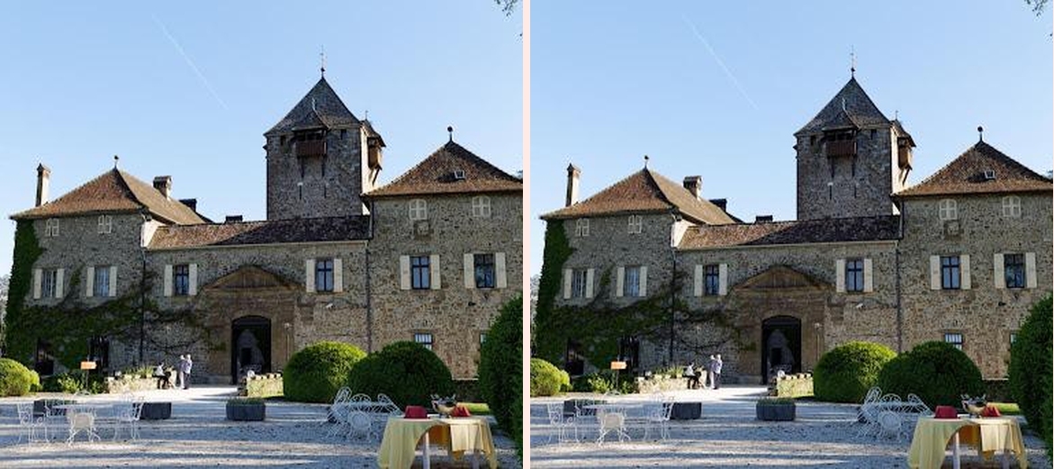 Hotellerie du Chateau de Coudree Sciez sur Leman - Photo 1